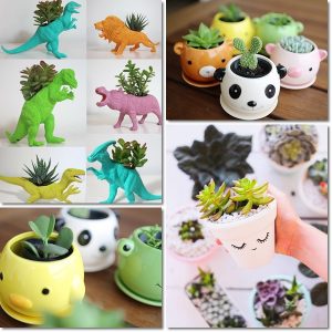 dinosaurie krukväxt